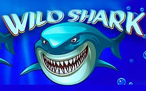 Wild Shark играть онлайн в casino7 7 casino
